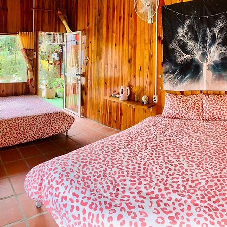 Moc Gia Vien Homestay - Đà Lạt Exterior foto